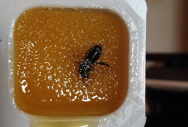 «Чтобы никто не сомневался в происхождении русского меда, внутри оставили пчелу»